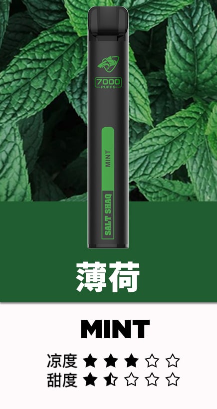 SALT SHAQ 鯊克7000口拋棄式煙桿｜持久續航・經典口感 小黑條